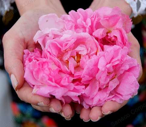 We are here to help you love yourself